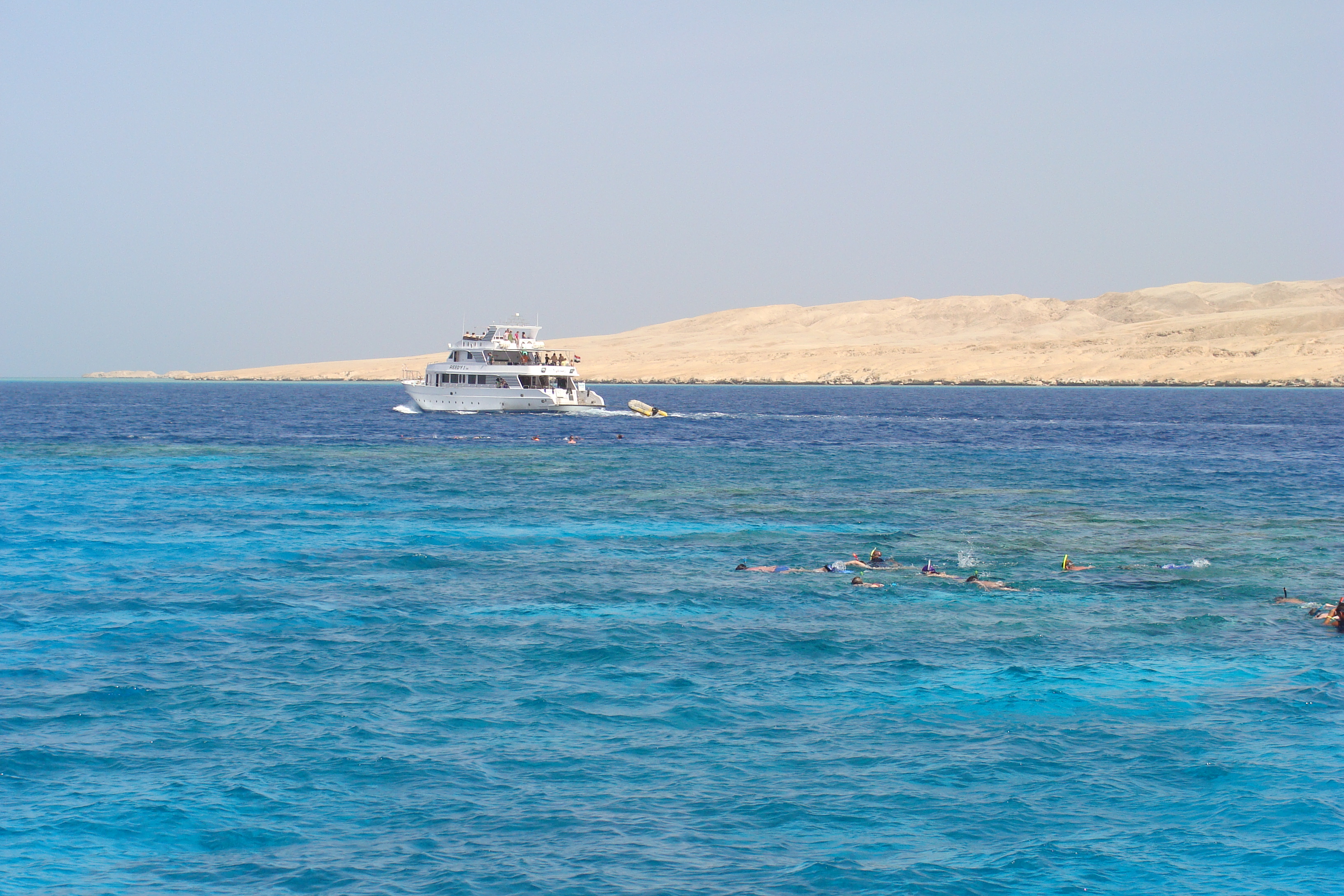 محمية جزيرة الجفتون: دليل رحلة من الغردقة - HurghadaStays blog