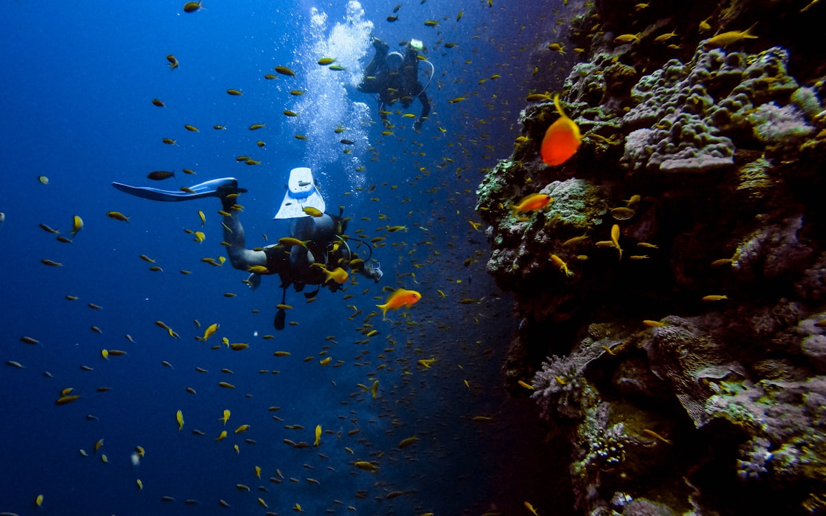 Beginner Scuba Diving Experience photo 1