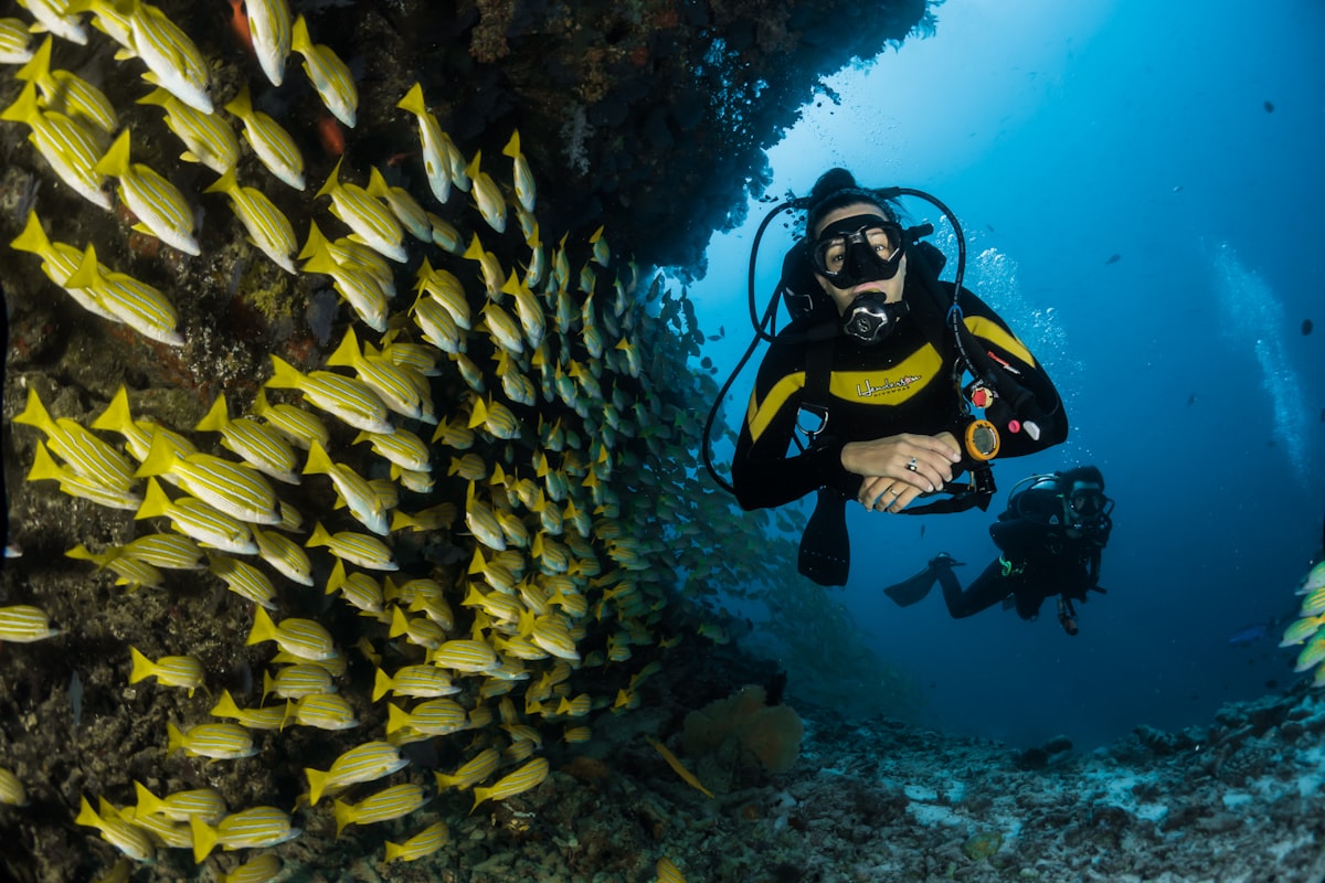 Beginner Scuba Diving Experience photo 2