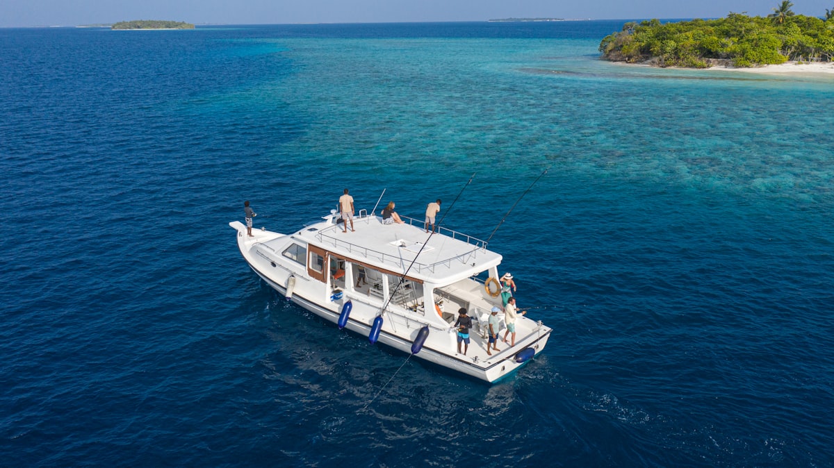 Dolphin House Snorkeling Trip photo 2