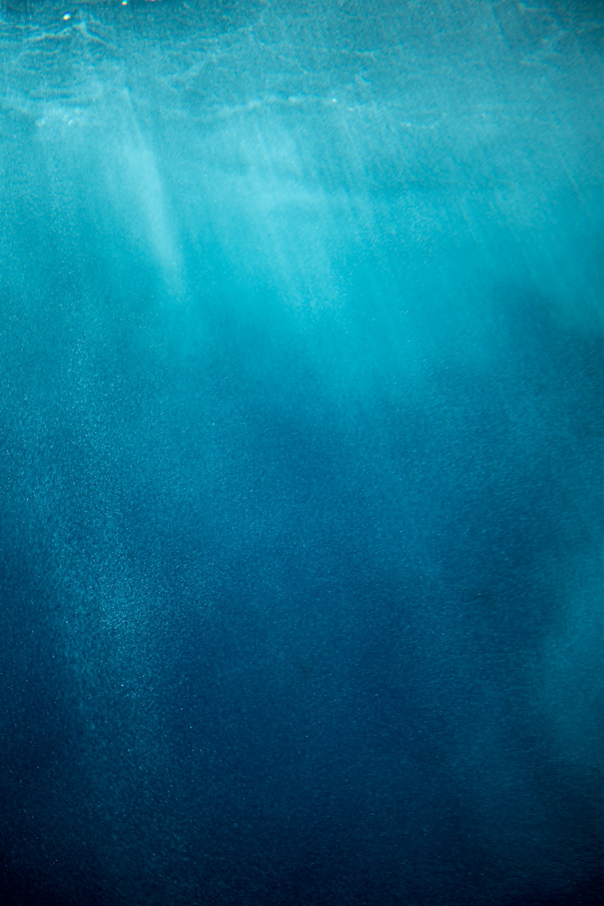 Orange Bay Snorkeling Cruise photo 2