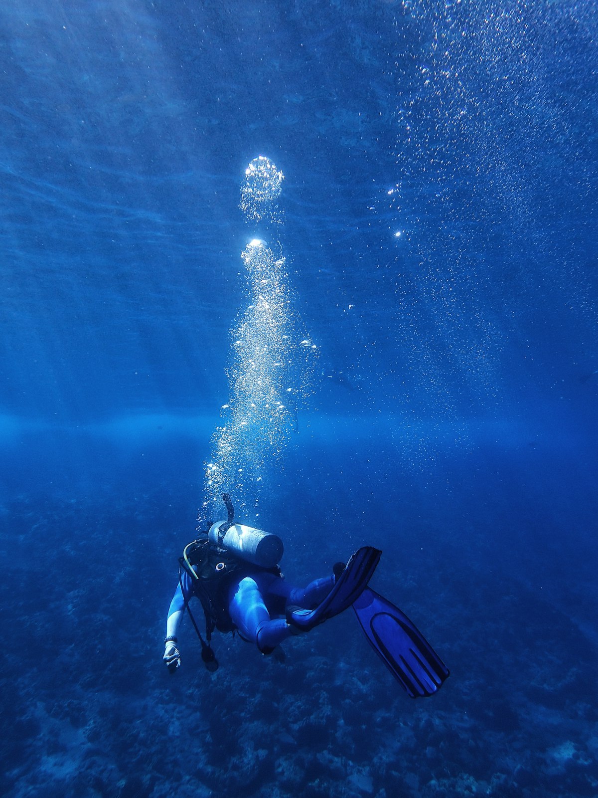 Certified Diver Two-Tank Reef Dive photo 2